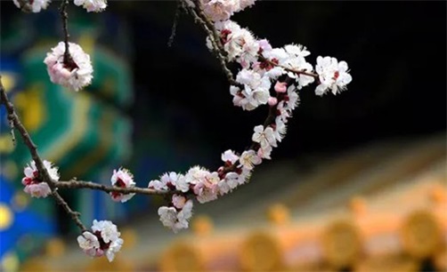 2023年10月29日是装换大门的好日子吗,九月十五是最佳安门吉日期吗