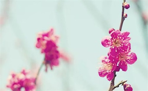 2023年11月3日是安门黄道吉日吗,九月二十宜安房门吗