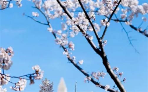 2023年11月11日安入户门好不好,九月二十八是吉利的安装大门日吗