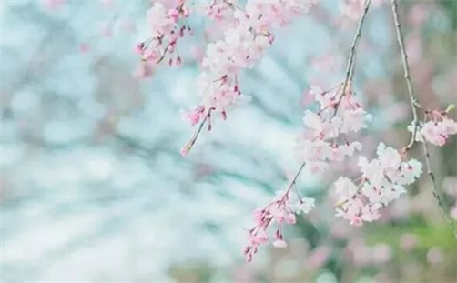 2023年11月12日是最好的动土吉日吗,九月二十九宜建房动土吗