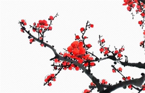 2023年12月13日动土最吉利吗,十一月初一是动土的最佳吉日期吗