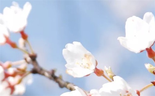 2023年11月30日是最好的动土吉日吗,十月十八宜建房动土吗