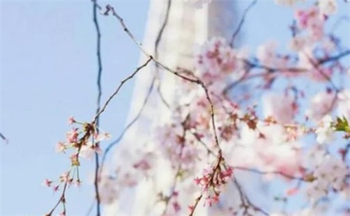 2023年11月14日安门吉日吉时黄道吉日吉时,十月初二是安门大吉日吗