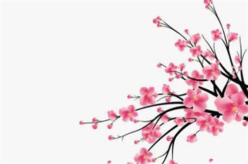2023年农历九月动土吉日子,哪天宜动土