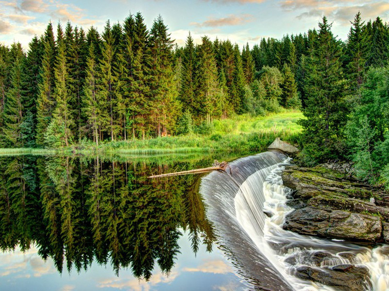 属猴男的真爱是哪个生肖女人(属猴男人真爱女人表现)