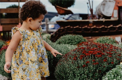 婴儿名字大全2024 随机1000个普通名字