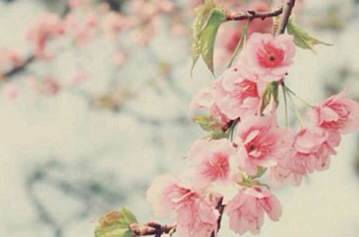 2024年4月1日愚人节是安门最好的时间吗 宜安房门吗