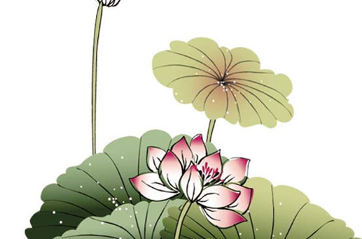 2024年4月29日动土最吉利吗 是动土的最佳吉日期吗