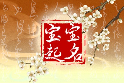24年的龙宝宝名字 好听寓意深远的宝宝名字