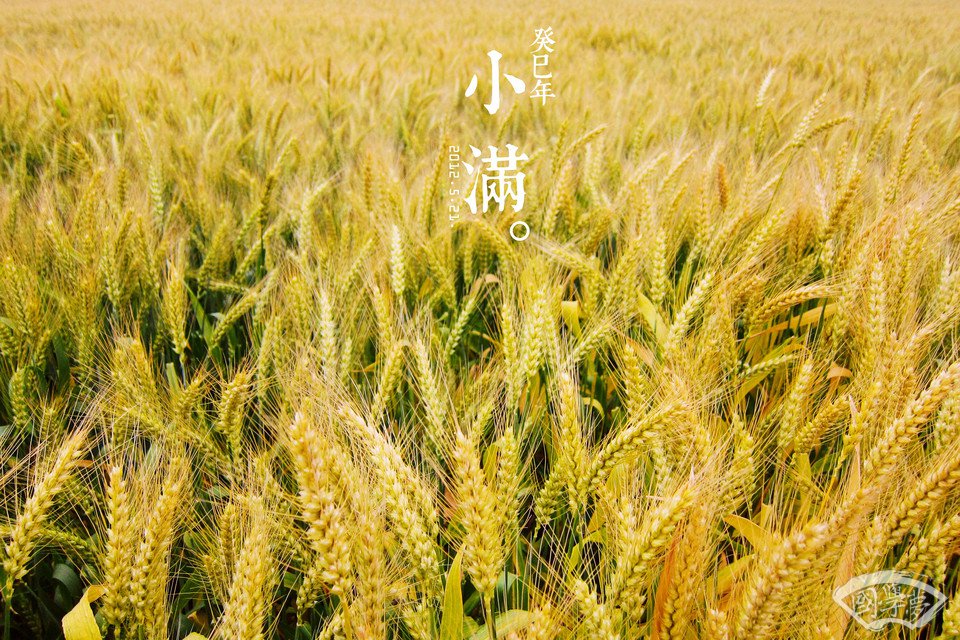 小满节气的含义究竟是什么？