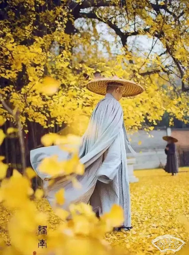 五首禅诗融汇诗意与禅意领悟五种人生境界